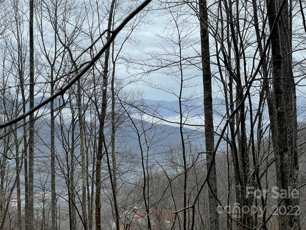 Property image 1 at 1411 Easy Wind Drive, Swannanoa, NC 28778