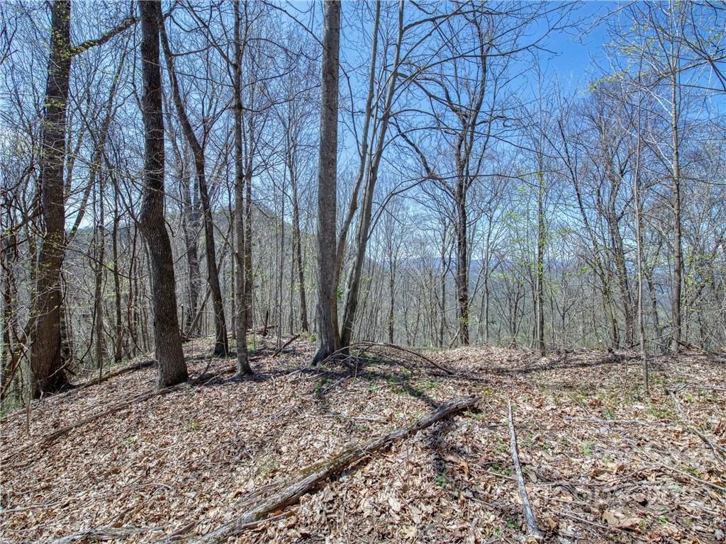 Property image 1 at 770 Spring Valley Drive, Waynesville, NC 28786
