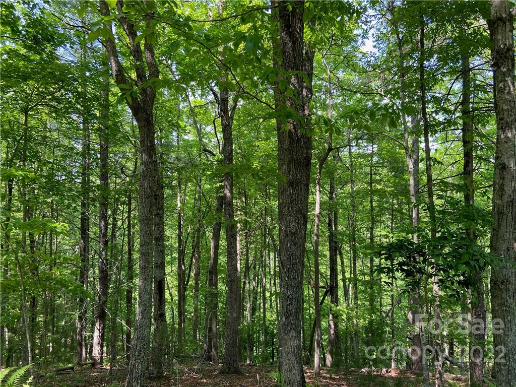 Property image 1 at 4171 French Broad Parkway, Marshall, NC 28753