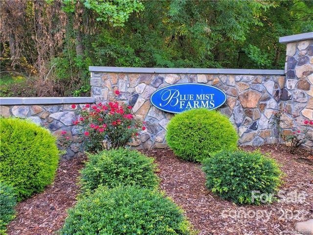 Property image 1 at 11 Early Spring Way, Leicester, NC 28748