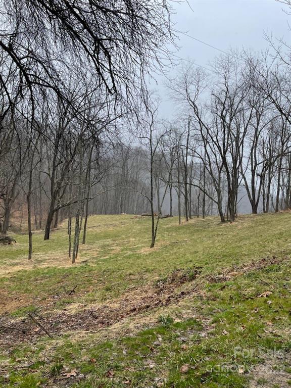 Property image 1 at Tbd Sleepy Hollow Drive, Waynesville, NC 28785