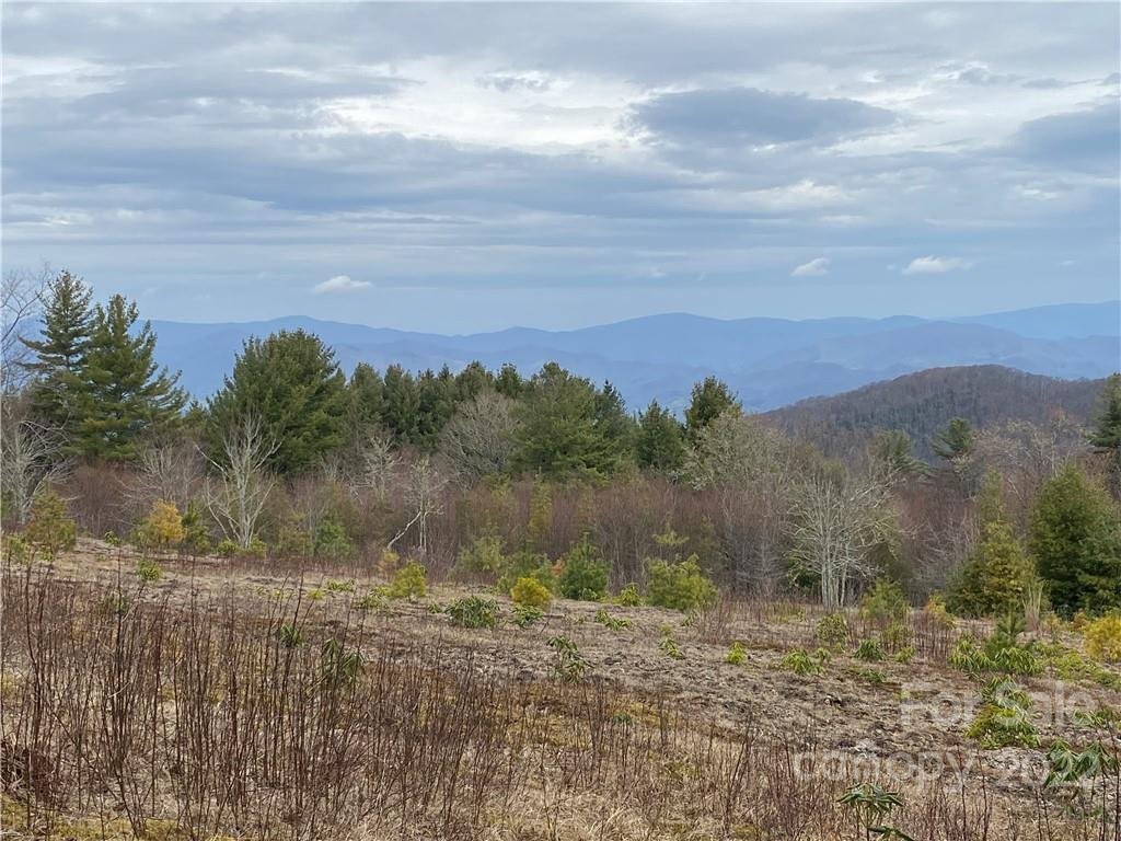 Property image 1 at 42 Ogle Meadows Road, Burnsville, NC 28714