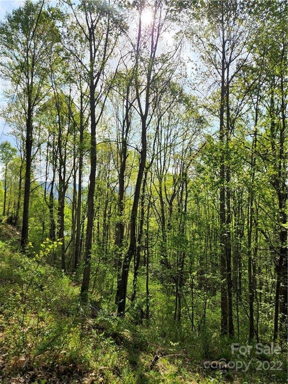 Property image 1 at 173 175 Wills Way, Canton, NC 28716