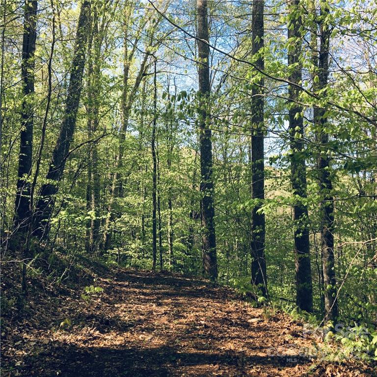 Property at 57 Fern Hill Drive, Mars Hill, NC 28754