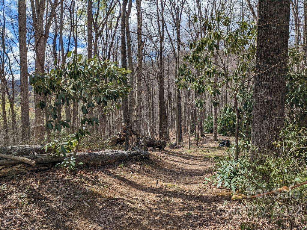 Property image 1 at 181 Ironwood Lane, Black Mountain, NC 28711