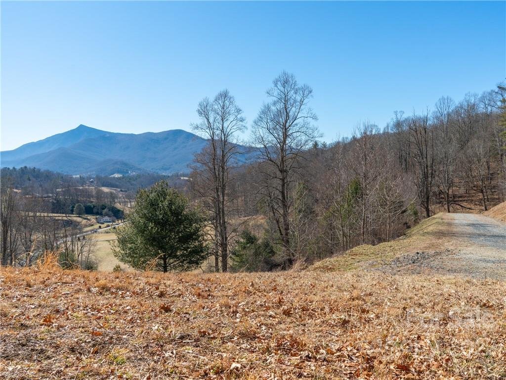 Property image 1 at 000 Locust Rough Road, Burnsville, NC 28714