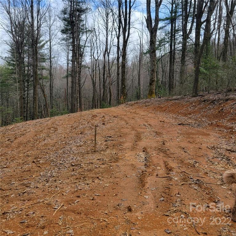 306a Lynn Crest Drive