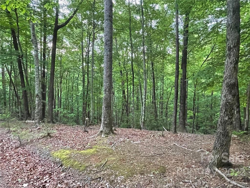 Property image 1 at Lot 25 Garden Lane, Lake Lure, NC 28746