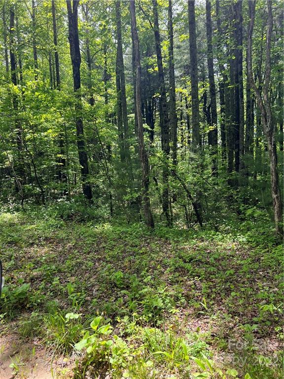 Property image 1 at 000 North Pointe Drive, Zirconia, NC 28790