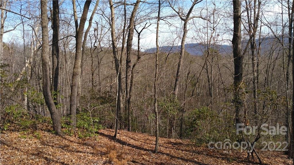 Property image 1 at Lot 26 Crooked Creek Estates Drive, Old Fort, NC 28762