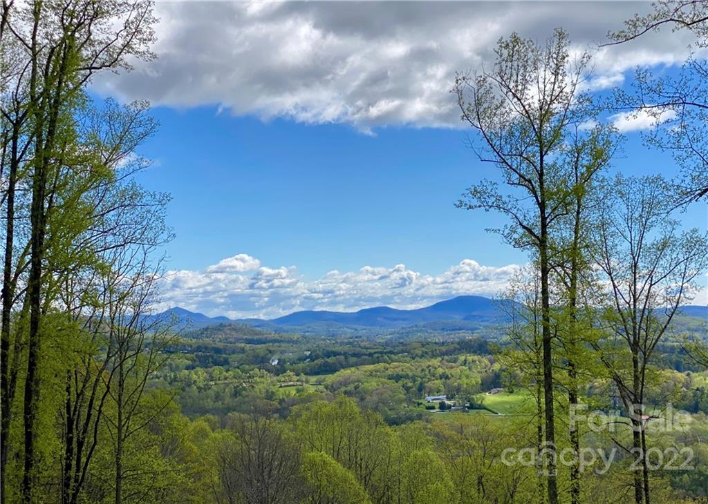 Property image 1 at Lot C9 Longleaf Trail, Hendersonville, NC 28791