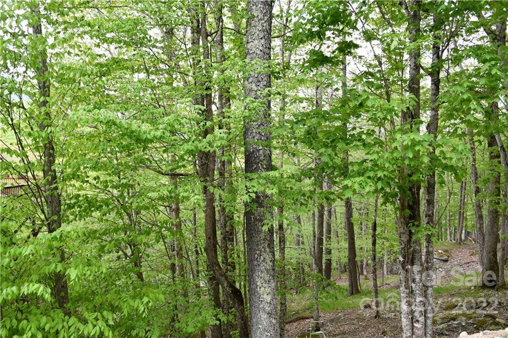 Property image 1 at 153 Hornbeam Road, Beech Mountain, NC 28604