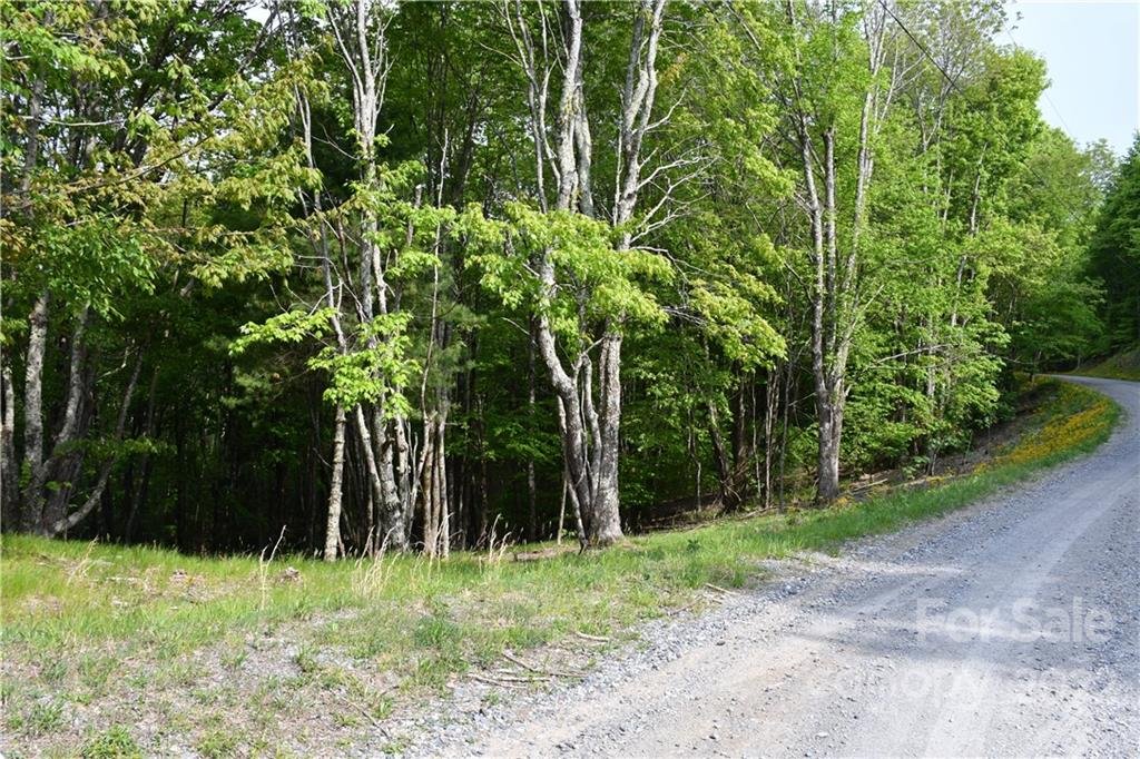 Property image 1 at 172 Wild Daisy Lane, Beech Mountain, NC 28604