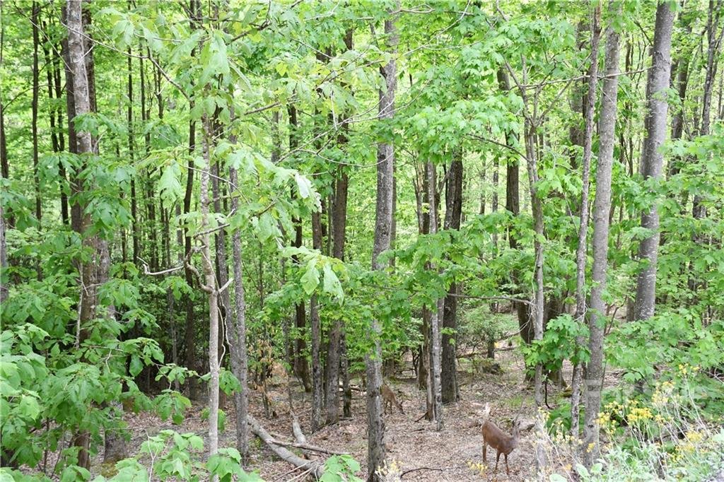 Property image 1 at 205 Locust Ridge Road, Beech Mountain, NC 28604