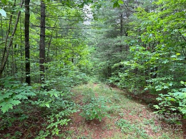 Property image 1 at 0000 Silverstone Drive, Hendersonville, NC 28792