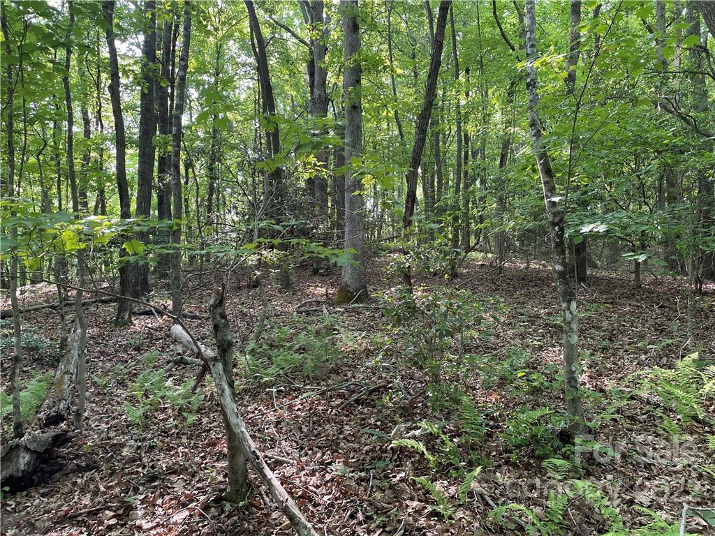 Property image 1 at 235 Ravenwood Lane, Horse Shoe, NC 28742