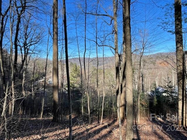 Property image 1 at 64 Longspur Lane, Asheville, NC 28804