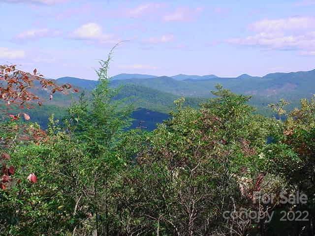 Lot 361 Hickory Nut Lane