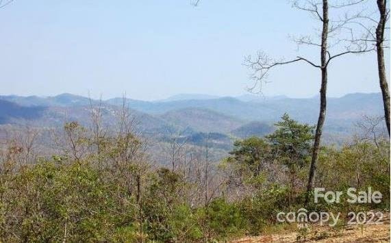 Property image 3 at Lot 361 Hickory Nut Lane, Lake Lure, NC 28746