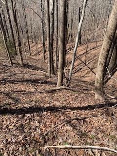 Property image 1 at 73 Mountain Lookout Drive, Bostic, NC 28018