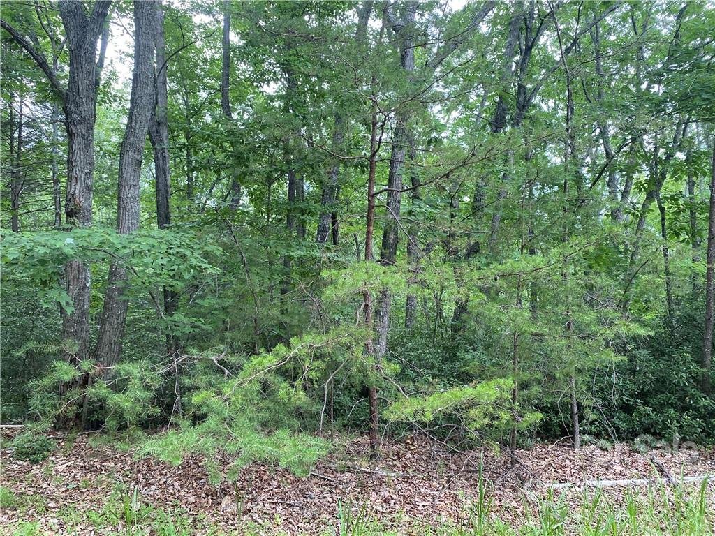 Property image 1 at Lot 43 Flynn Court, Lake Lure, NC 28746