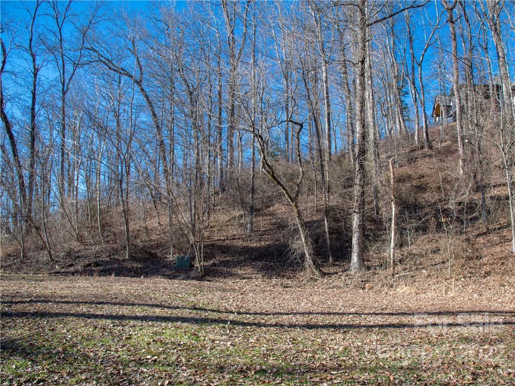 Property image 1 at 44 Giffords Lane, Asheville, NC 28803