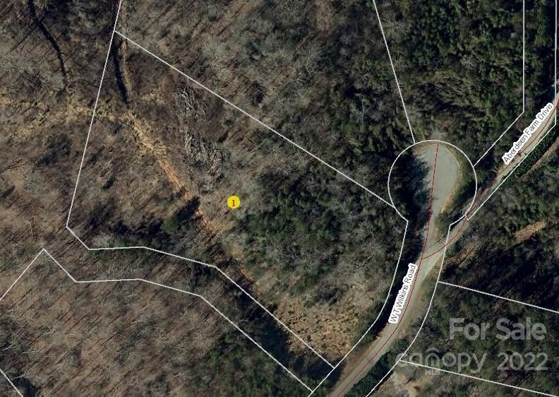 Property image 1 at 0 Aberdeen Farm Drive, Rutherfordton, NC 28139