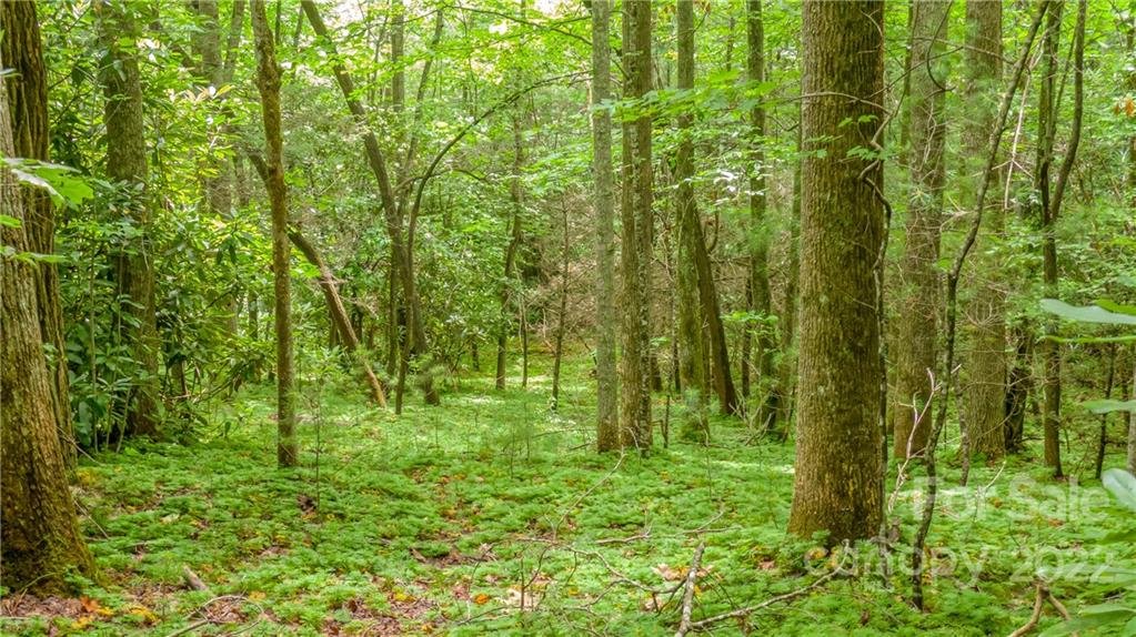 Property image 1 at 99999 Tbd Ridge Top Road, Pisgah Forest, NC 28768