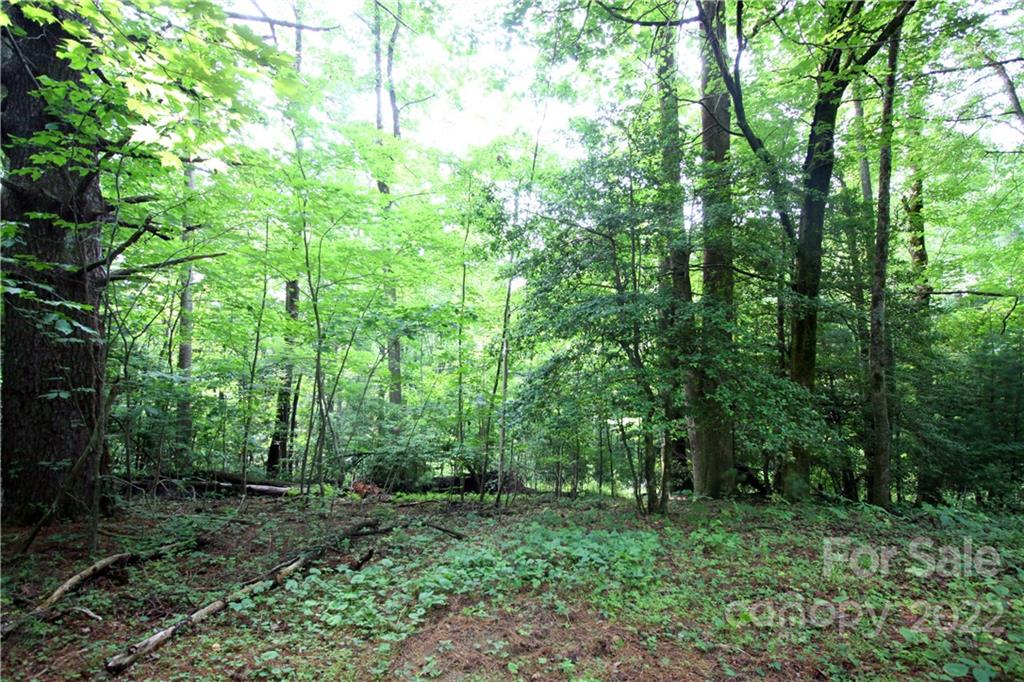 Property image 1 at Lots 319b 319a Severy Lane, Brevard, NC 28712