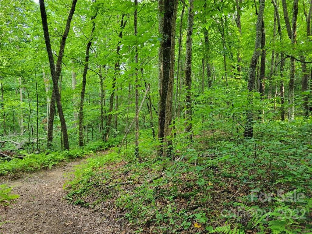 Property image 1 at Lot 42 Autumn Sky Drive, Hendersonville, NC 28792