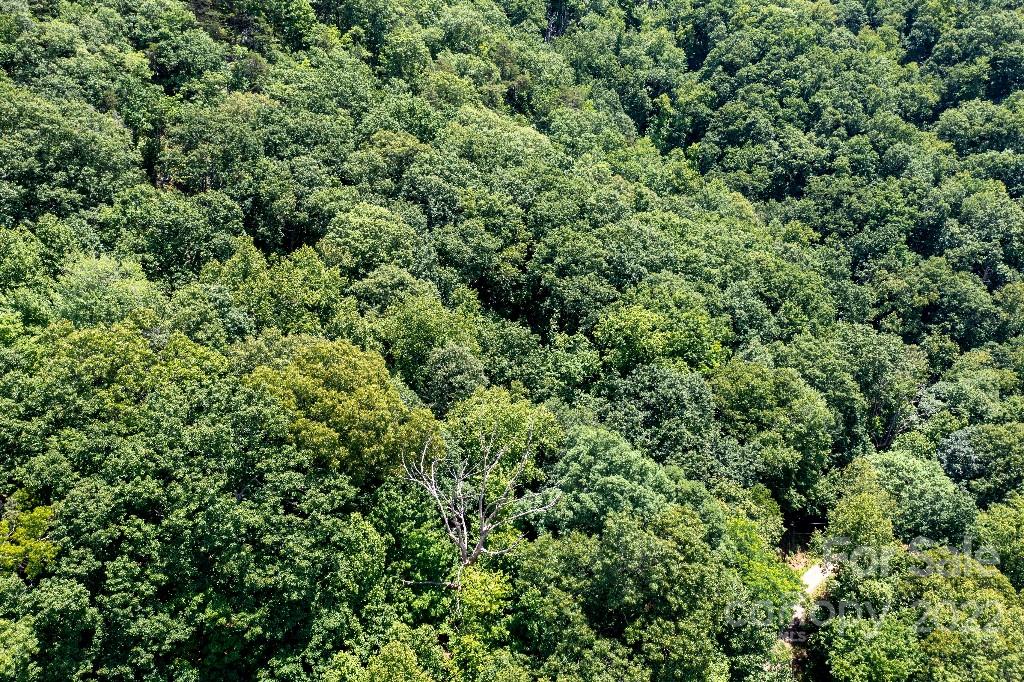 Property image 1 at Lot 229 N Poplar Court, Lake Lure, NC 28746