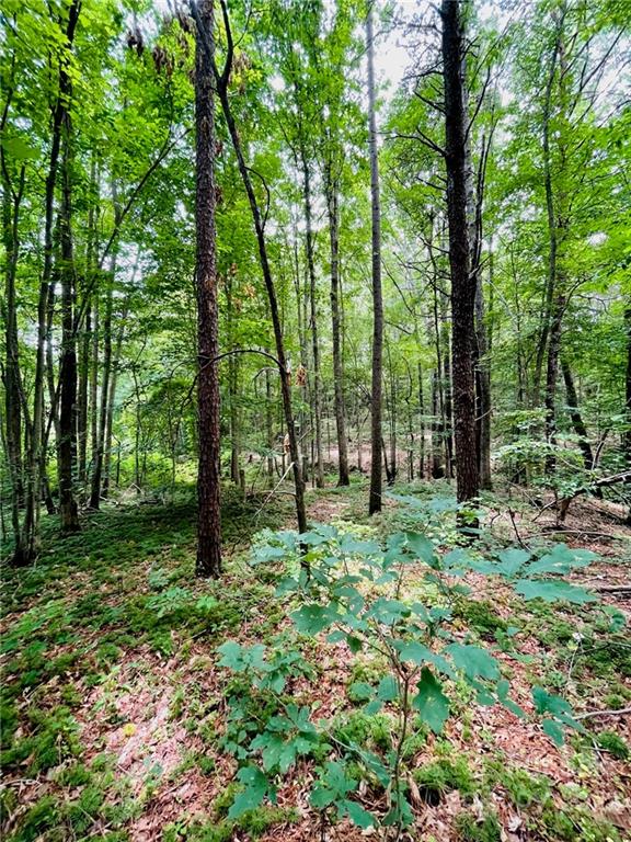 Property image 1 at 00 Twin Creek Drive, Troutman, NC 28166