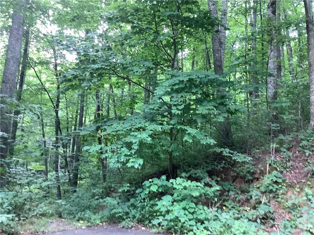 Property image 1 at 99999 Carriage Drive, Fairview, NC 28730