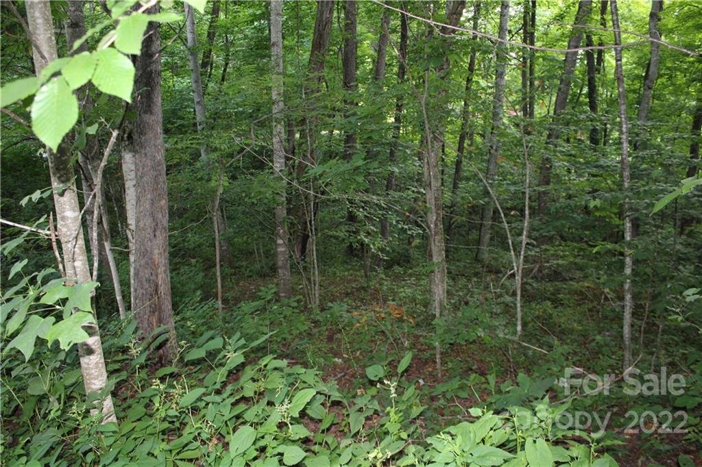 Property image 1 at 00 Serenity Cove, Maggie Valley, NC 28751