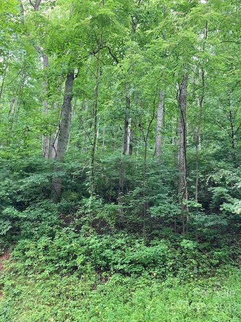 Property image 1 at 00 Rising Sun Road, Mars Hill, NC 28754