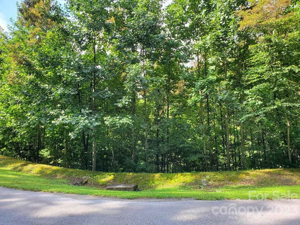 Property at Lot 37 Mountain Morning Lane, Hendersonville, NC 28739