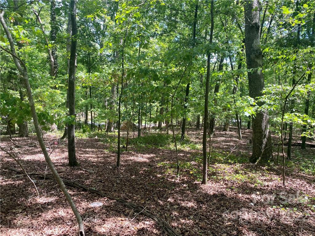 Property image 1 at 000 Oak Road, Norwood, NC 28128