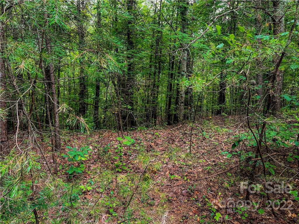 Property image 1 at 0000 Mcowenben Pass, Lake Lure, NC 28746