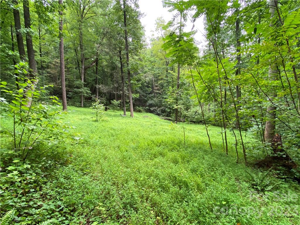 Property image 1 at 00 Charity Branch Drive, Saluda, NC 28773