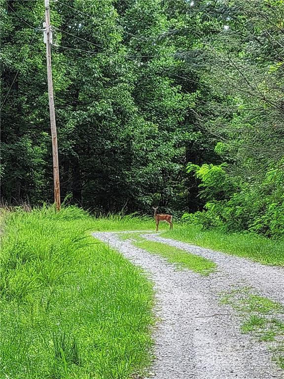 Property image 1 at 50 A Oak View Lane, Saluda, NC 28773