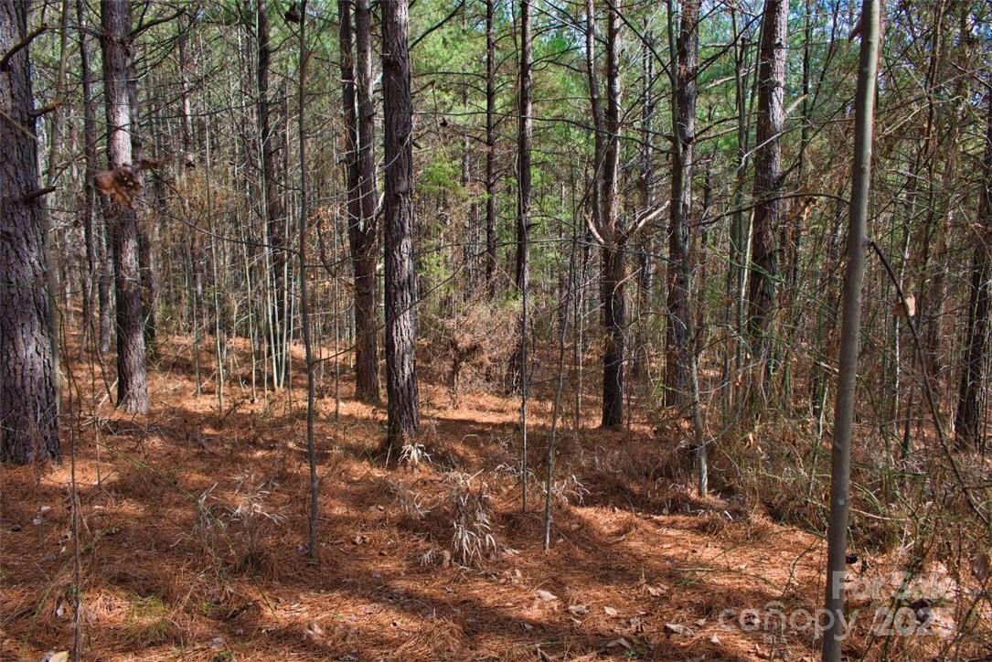 Property image 1 at 0 Bitterroot Circle, Rutherfordton, NC 28139