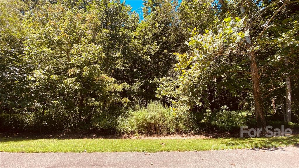 Property image 1 at Lot 73 Small Creek Drive, Lake Lure, NC 28746