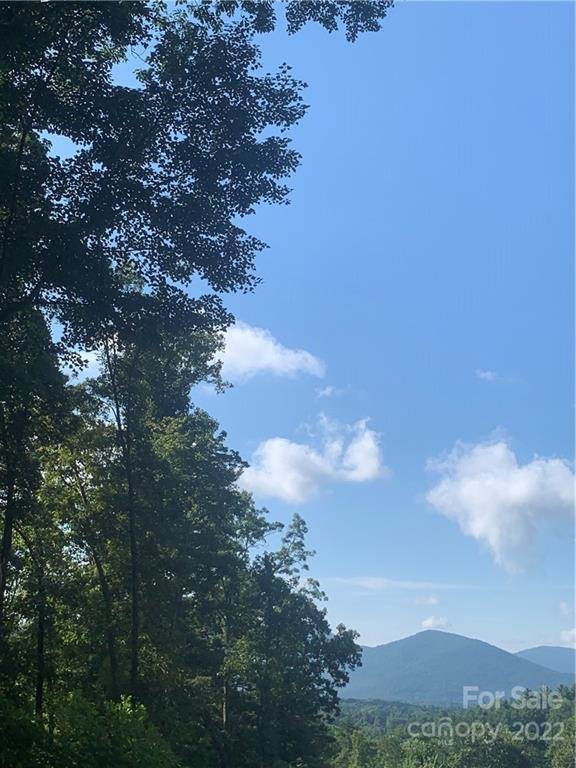 Property image 1 at 201 Patriots Drive, Asheville, NC 28805