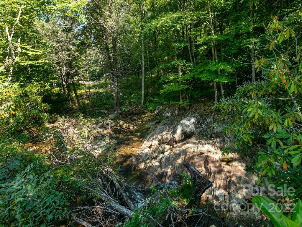 Property image 1 at 00000 Shining Rock Drive, Canton, NC 28716