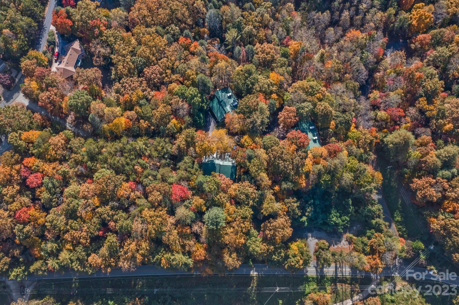 Property image 3 at 1c Buffalo Creek Road, Lake Lure, NC 28746