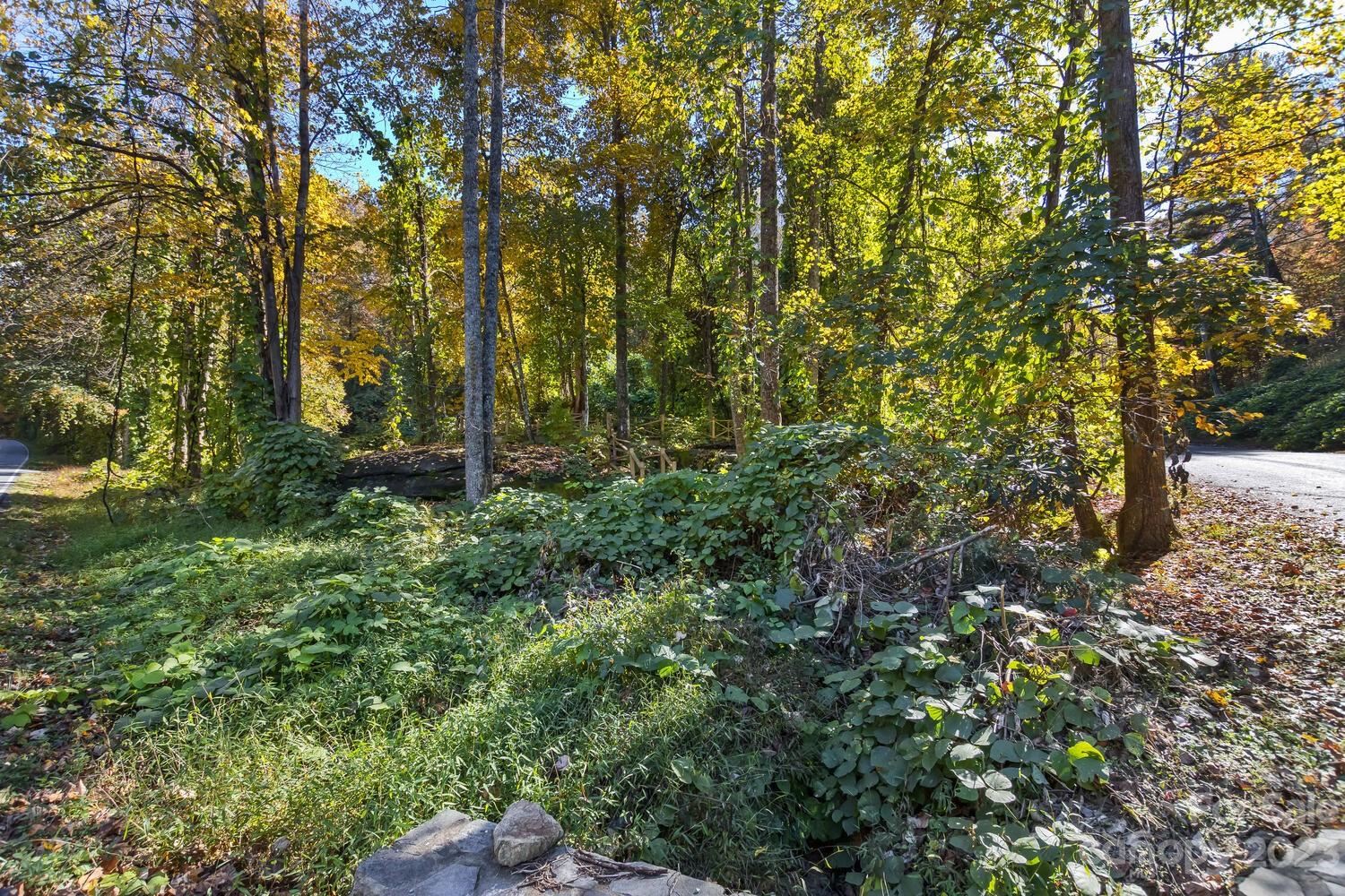 Property image 5 at Lot 1b Waterside Drive, Lake Lure, NC 28746