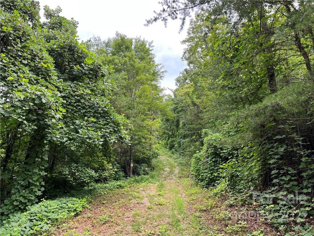 Property image 1 at V L Laurel Valley Drive, Marion, NC 28752