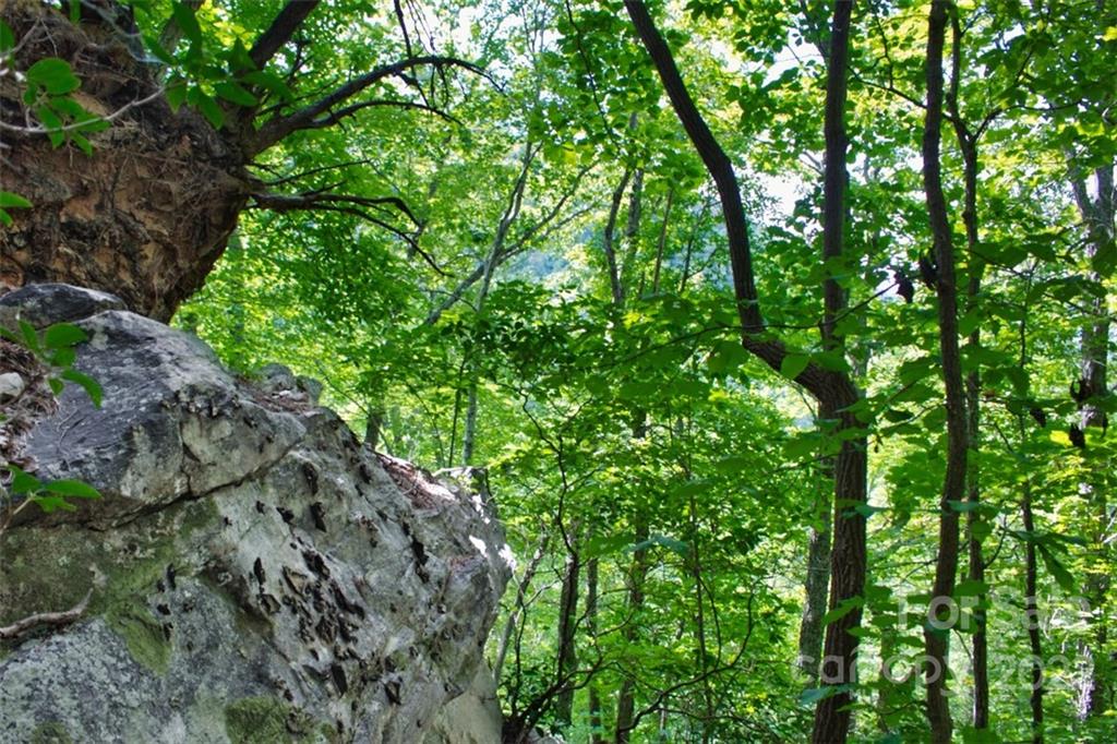 Property image 1 at 0 Settlers View, Union Mills, NC 28167