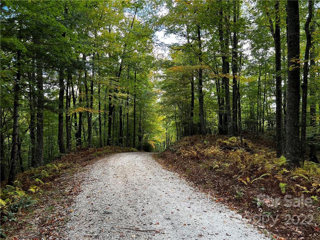 Property image 1 at 9999 Mocassin Trail, Rosman, NC 28772