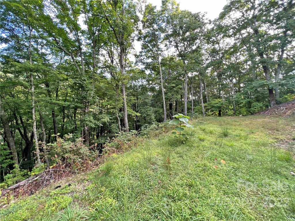 Property image 1 at Tbd Staghorn Drive, Hot Springs, NC 28743